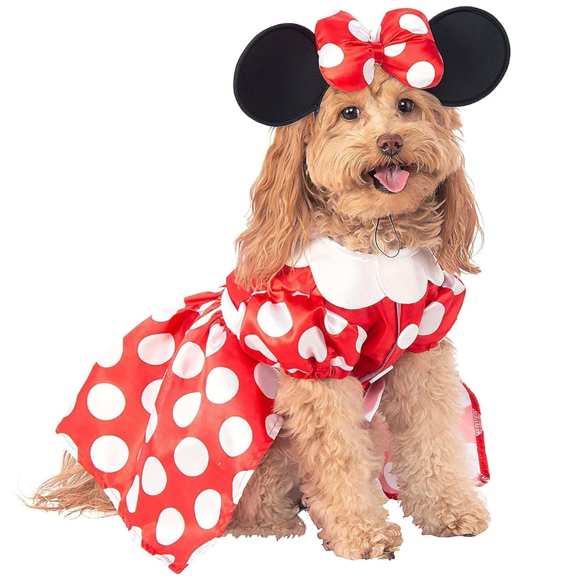 Minnie mouse dog shirt best sale