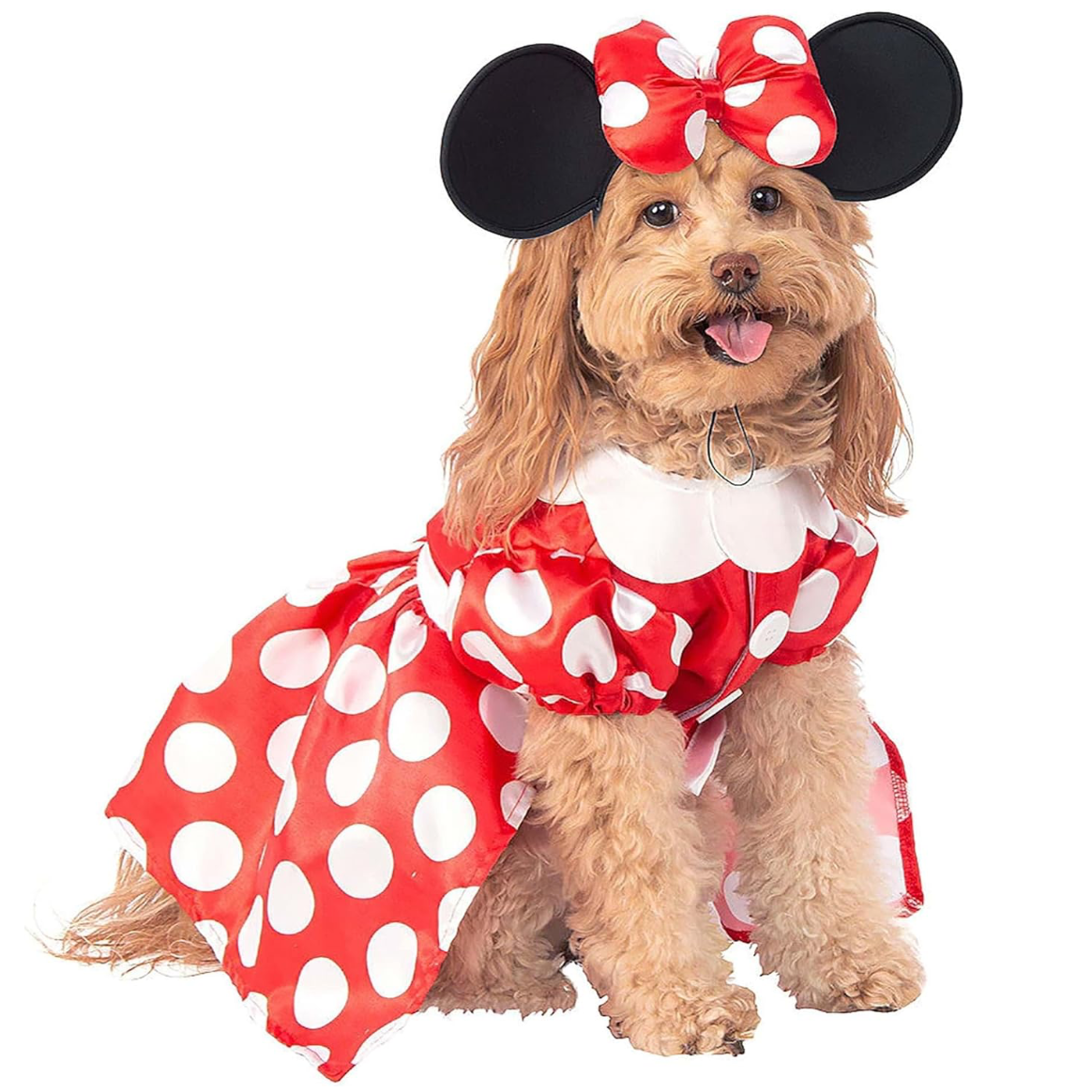 Dog Clothes| Pet Minnie Mouse Dress Costume | Sizes and Colours Available| Claws N Paws