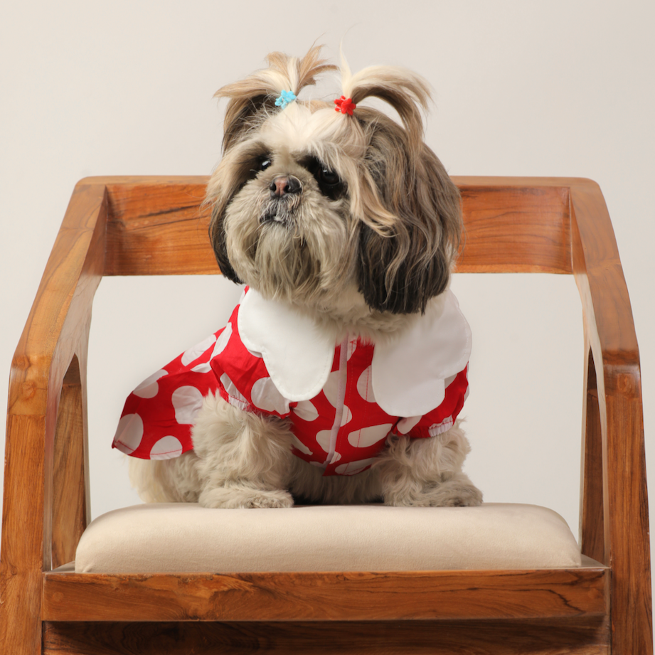 Dog Clothes| Pet Minnie Mouse Dress Costume | Sizes and Colours Available| Claws N Paws