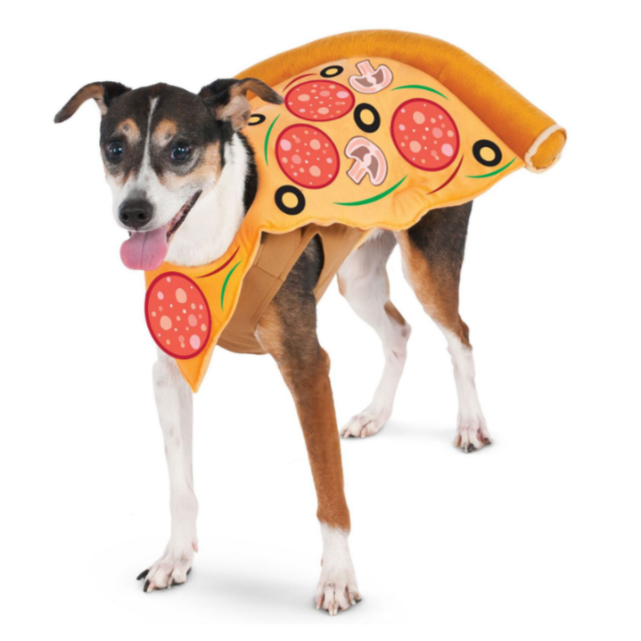 Dog Clothes| Pet Pizza Costume | Sizes and Colours Available| Claws N Paws
