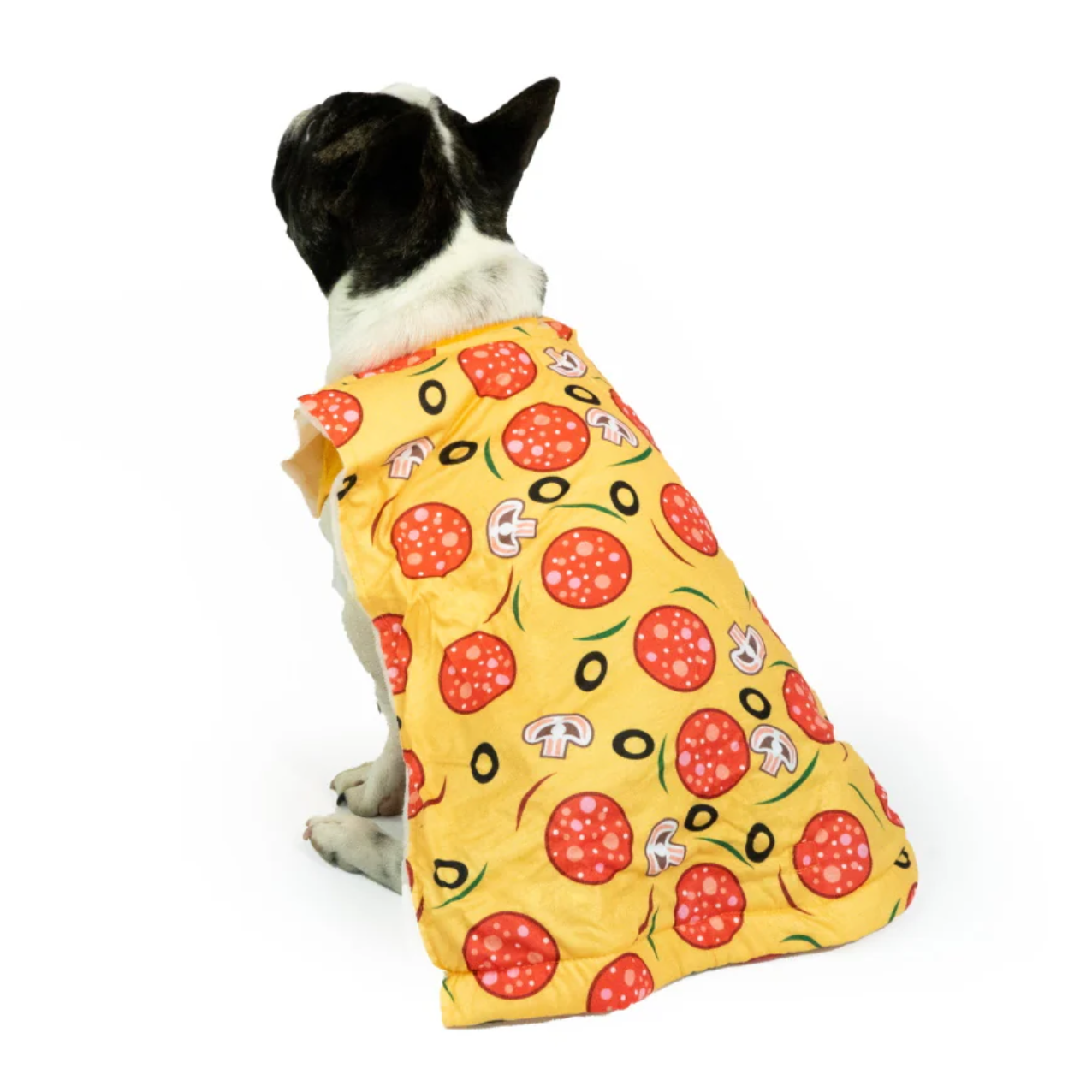 Dog Clothes| Pet Pizza Costume | Sizes and Colours Available| Claws N Paws