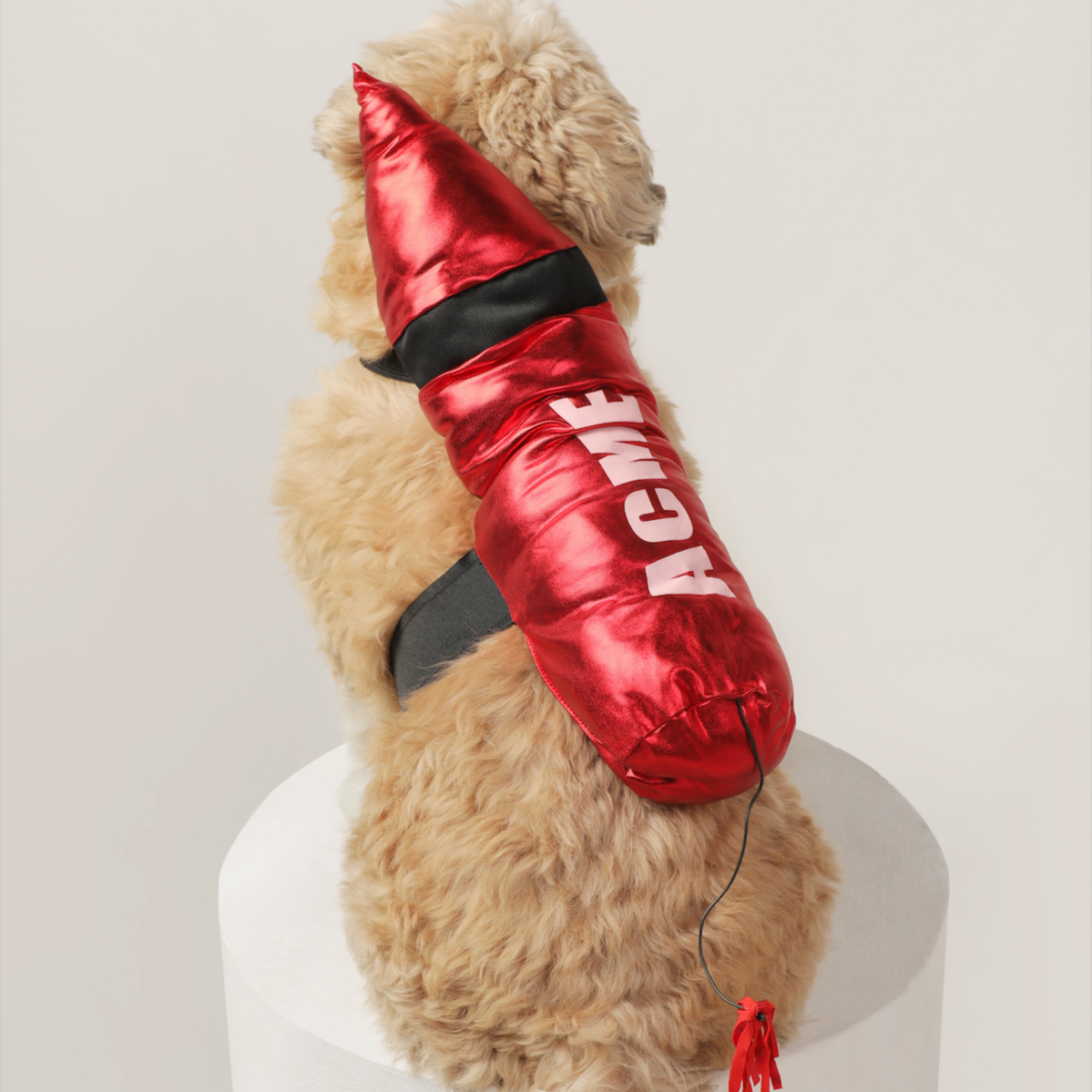 Dog Clothes| Pet Rocket Costume | Sizes and Colours Available| Claws N Paws