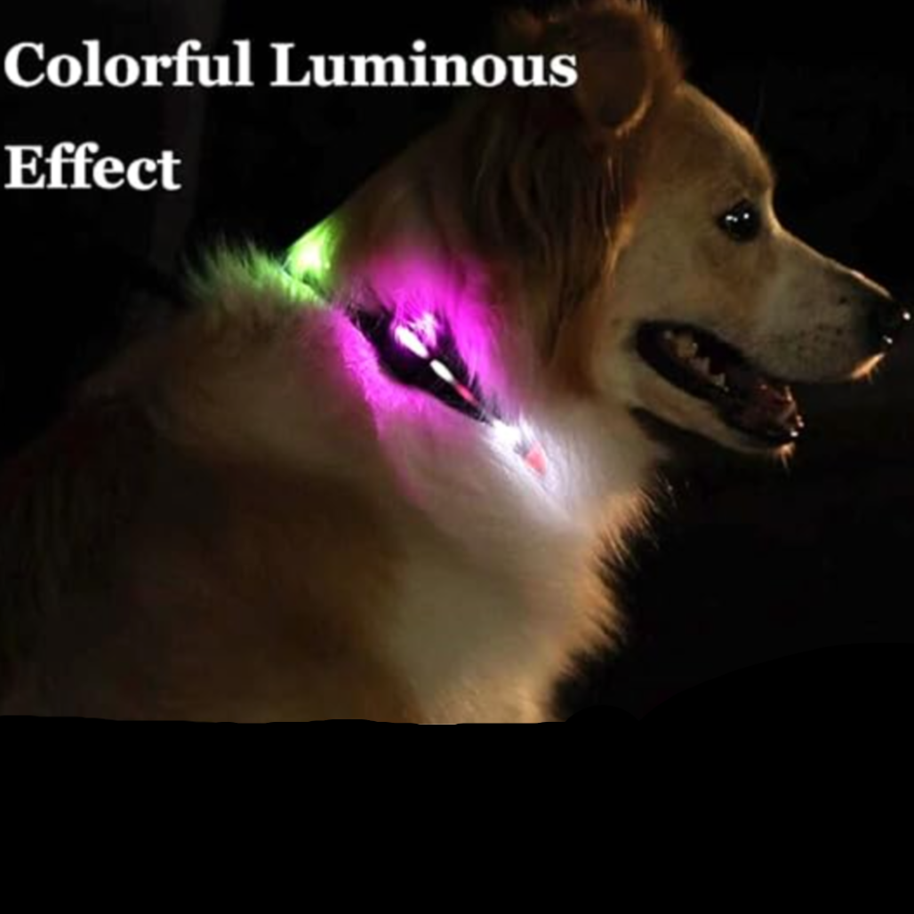 LED Light Collar & Leash Set (PVC Coated)