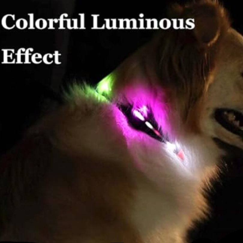 LED Light Collar & Leash Set (PVC Coated)