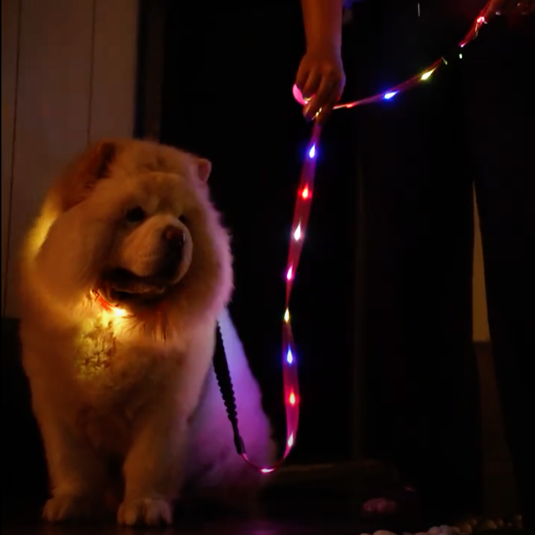 LED Light Collar & Leash Set (PVC Coated)