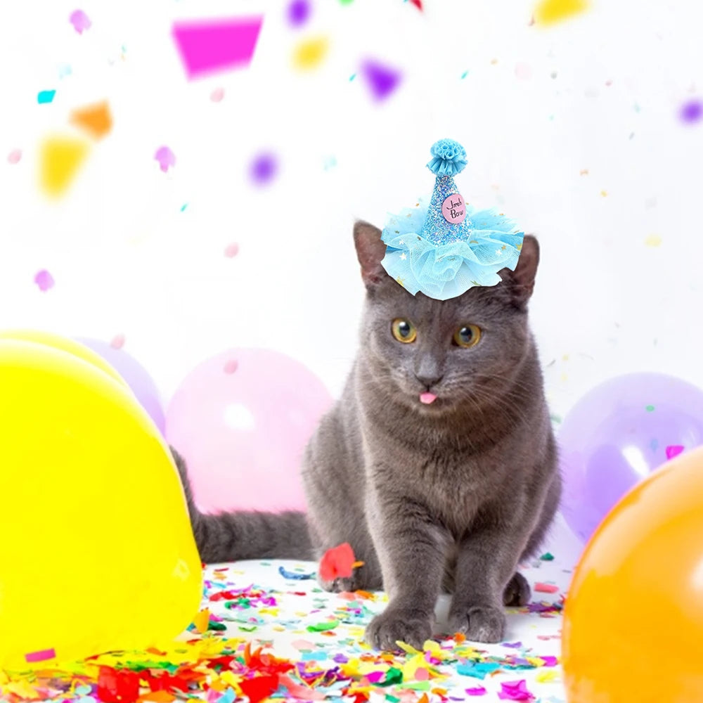 Pet Birthday Glitter Hat