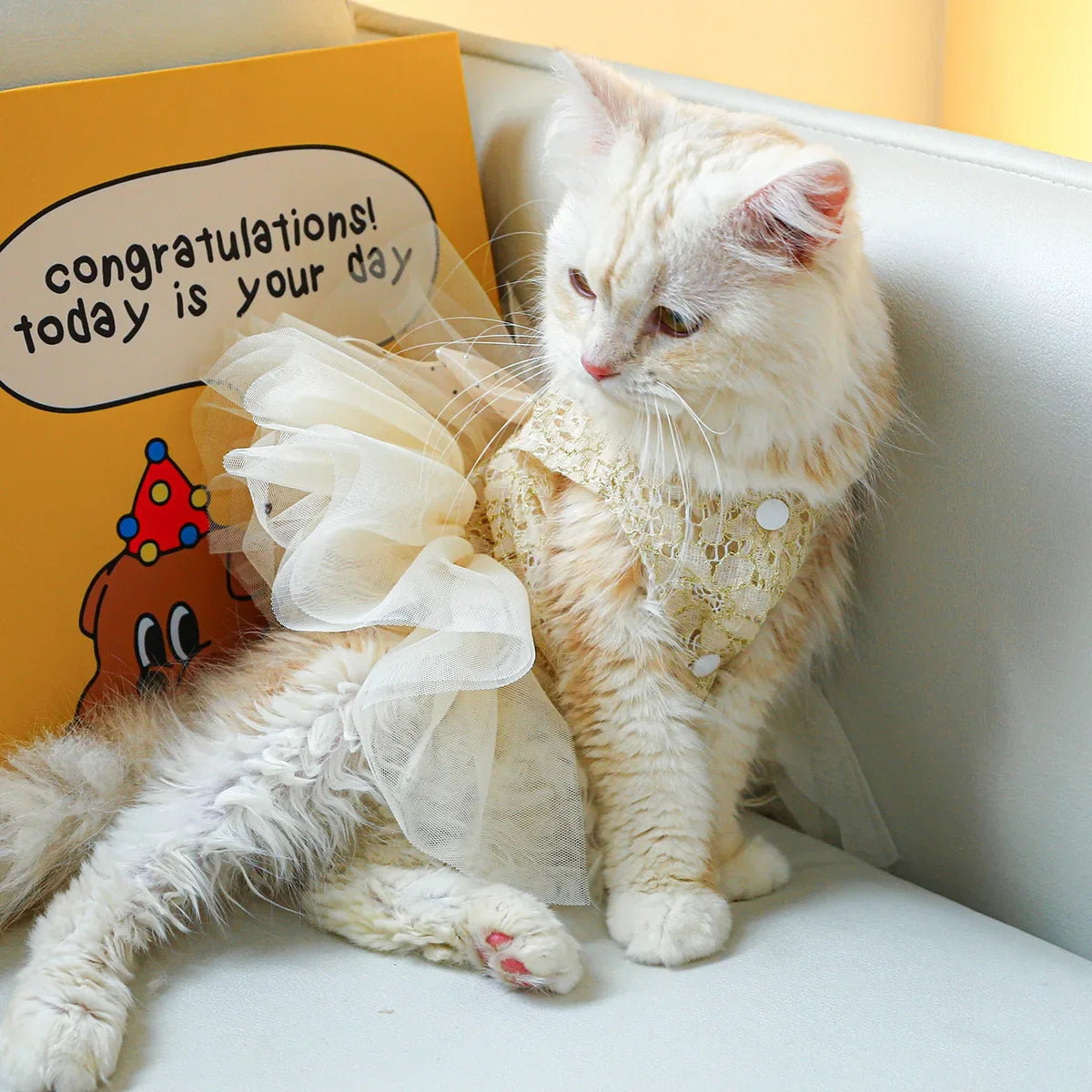 Princess Lace Wedding Dress – Elegant Pet Wedding Outfit for Dogs & Cats