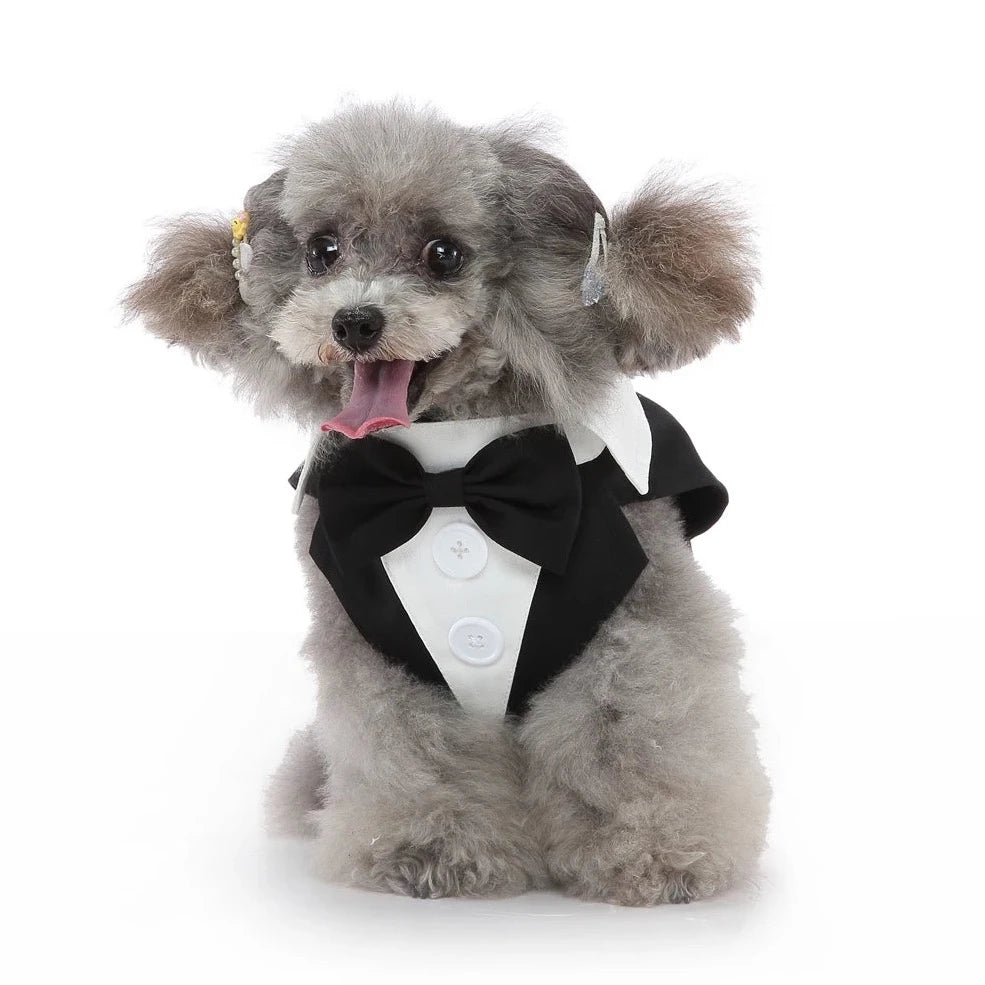 Dog Clothes| Pet Wedding Tuxedo | Sizes and Colours Available| Claws N Paws