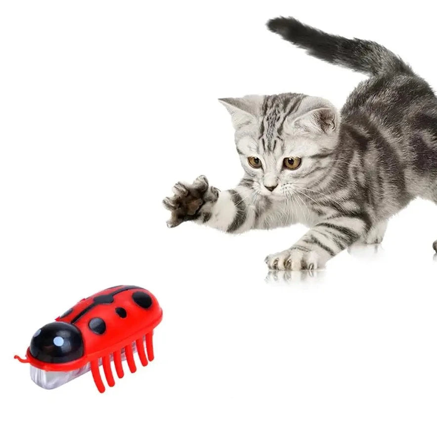 Vibrating Bug Toy for Dogs and Cats