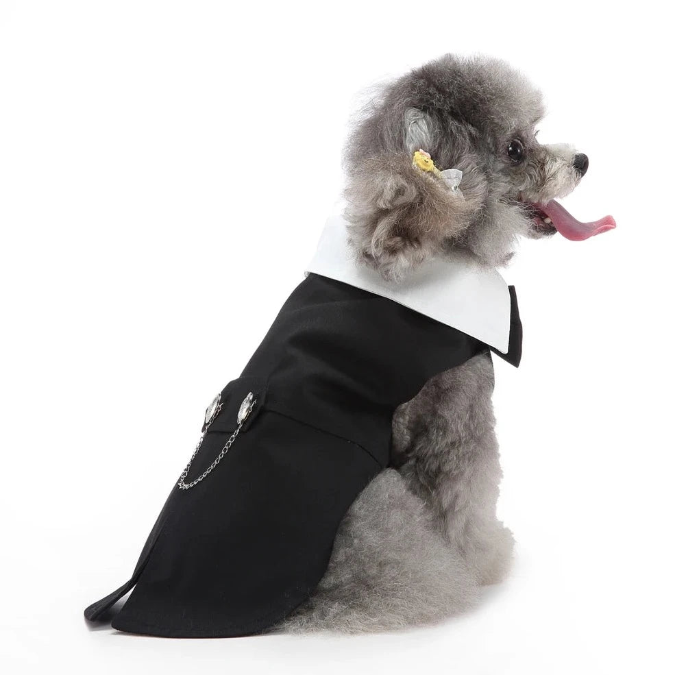 Dog Clothes| Pet Wedding Tuxedo | Sizes and Colours Available| Claws N Paws