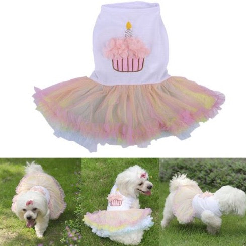 Birthday Cake Frill Dress | Dog Clothes| l | Sizes and Colours Available| Claws N Paws