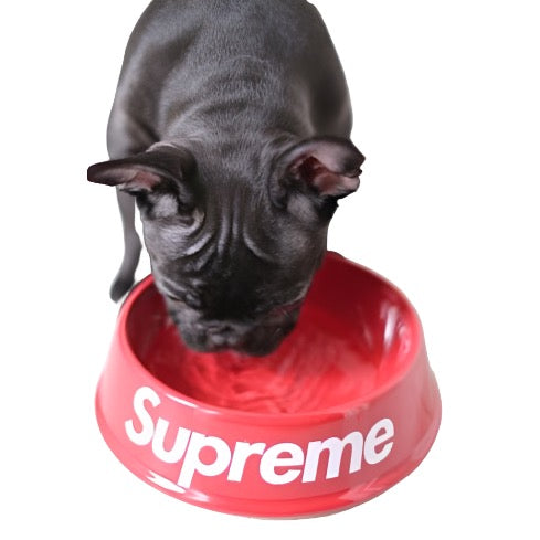 Premium Plastic Water Bowl