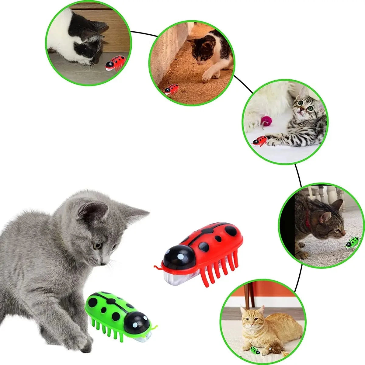 Vibrating Bug Toy for Dogs and Cats