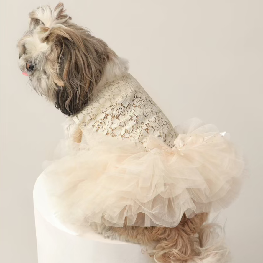 Princess Lace Wedding Dress – Elegant Pet Wedding Outfit for Dogs & Cats