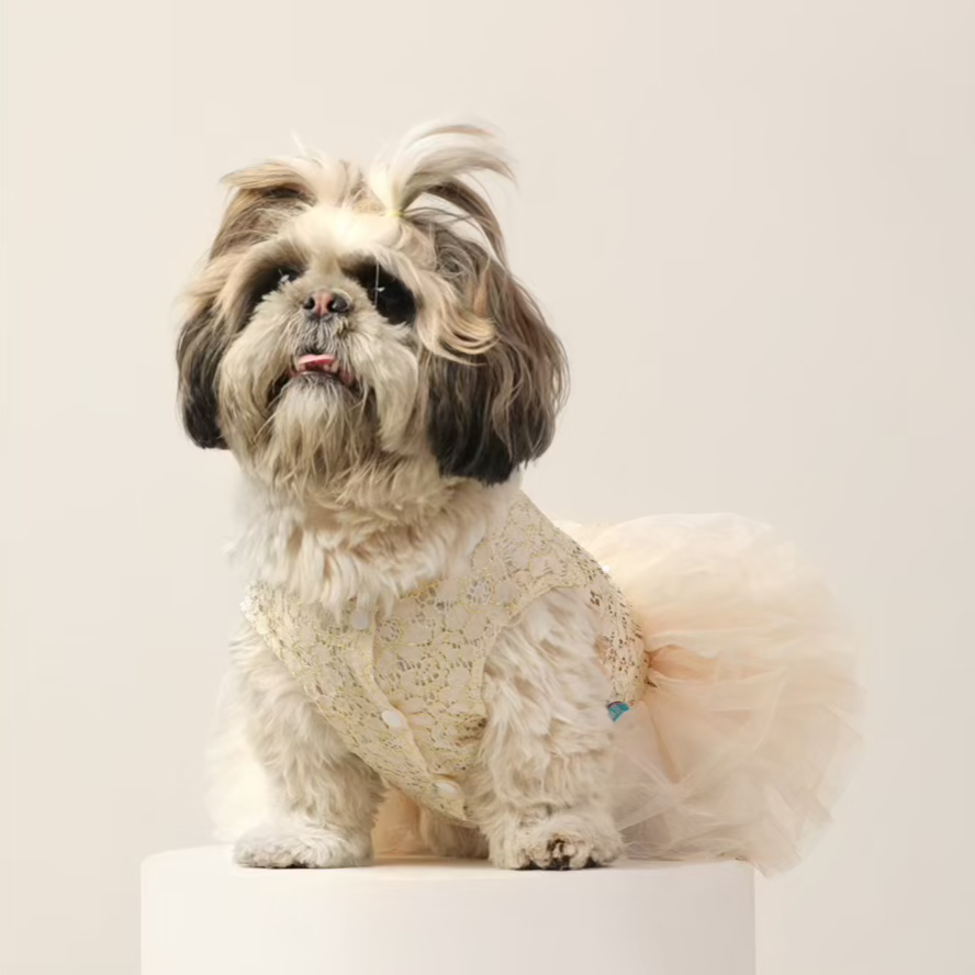 Princess Lace Wedding Dress – Elegant Pet Wedding Outfit for Dogs & Cats