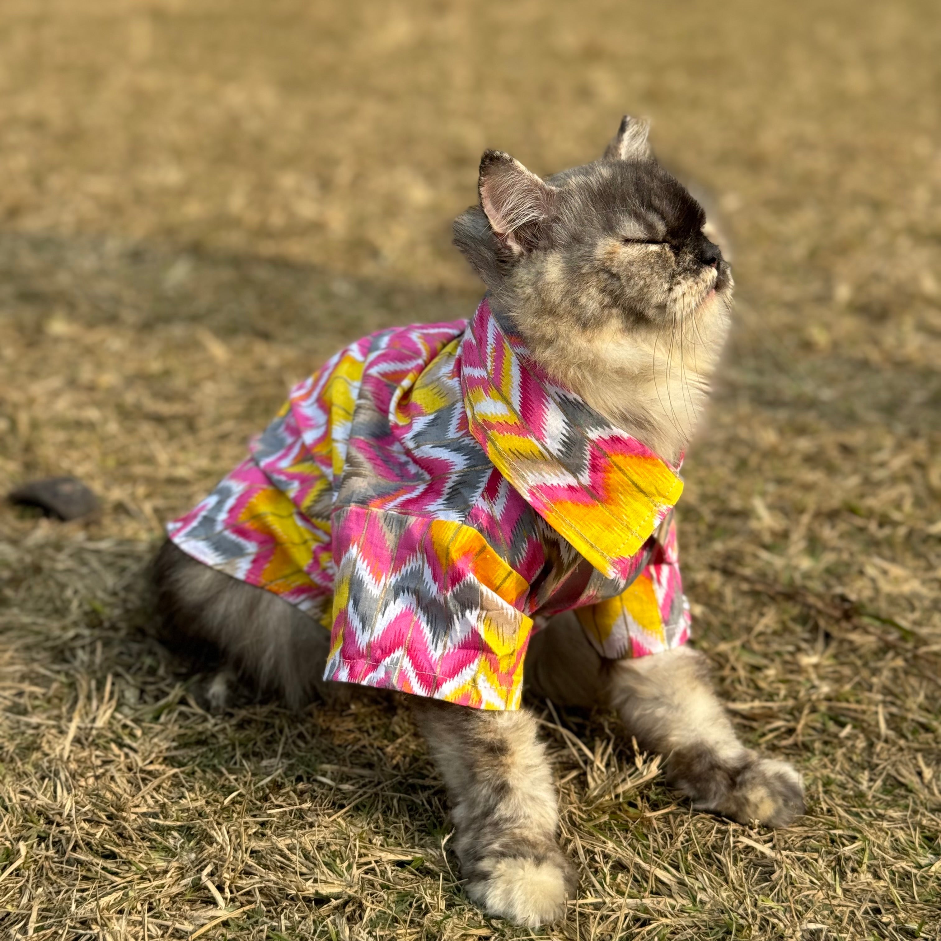 Cat pink zig zag kurta