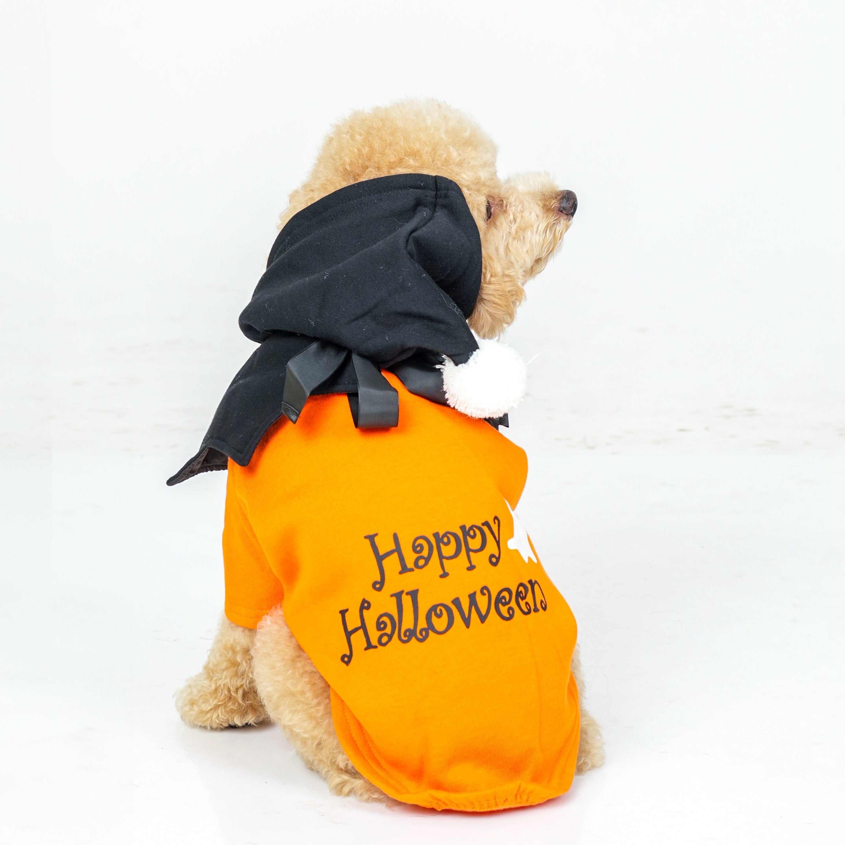 Dog Clothes| Pumpkin Halloween Costume | Sizes and Colours Available| Claws N Paws