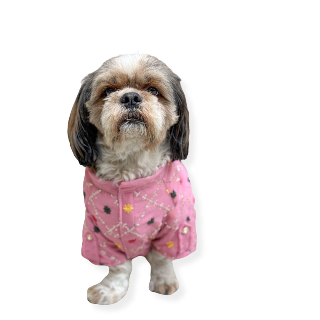 Dog Clothes| Festive Shirt Pink (New) | Sizes and Colours Available| Claws N Paws