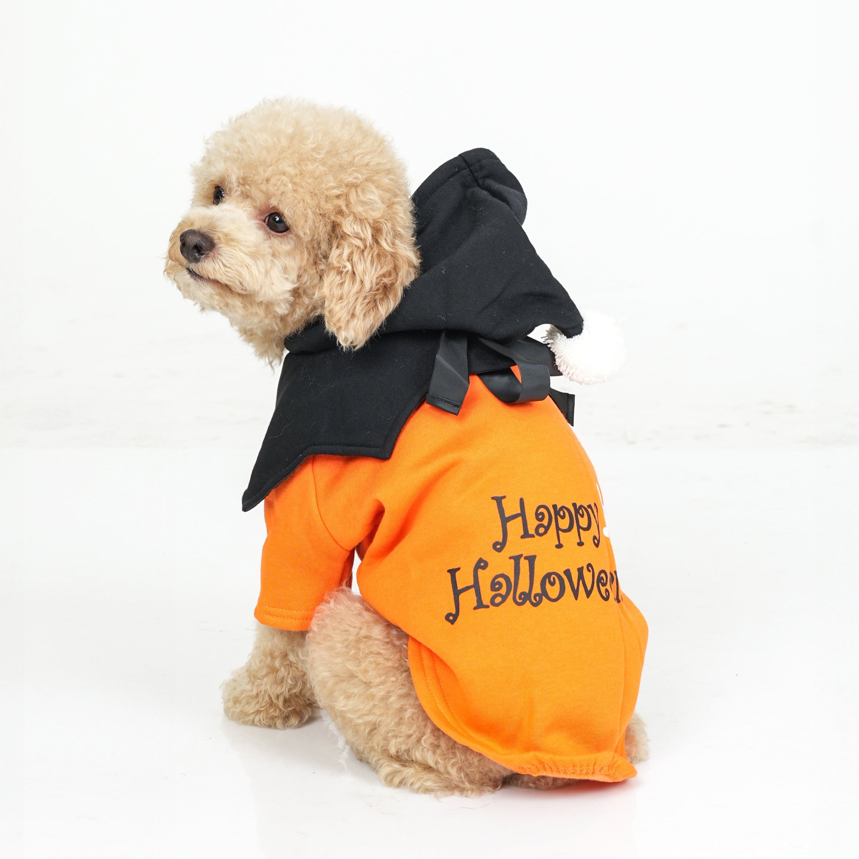 Dog Clothes| Pumpkin Halloween Costume | Sizes and Colours Available| Claws N Paws