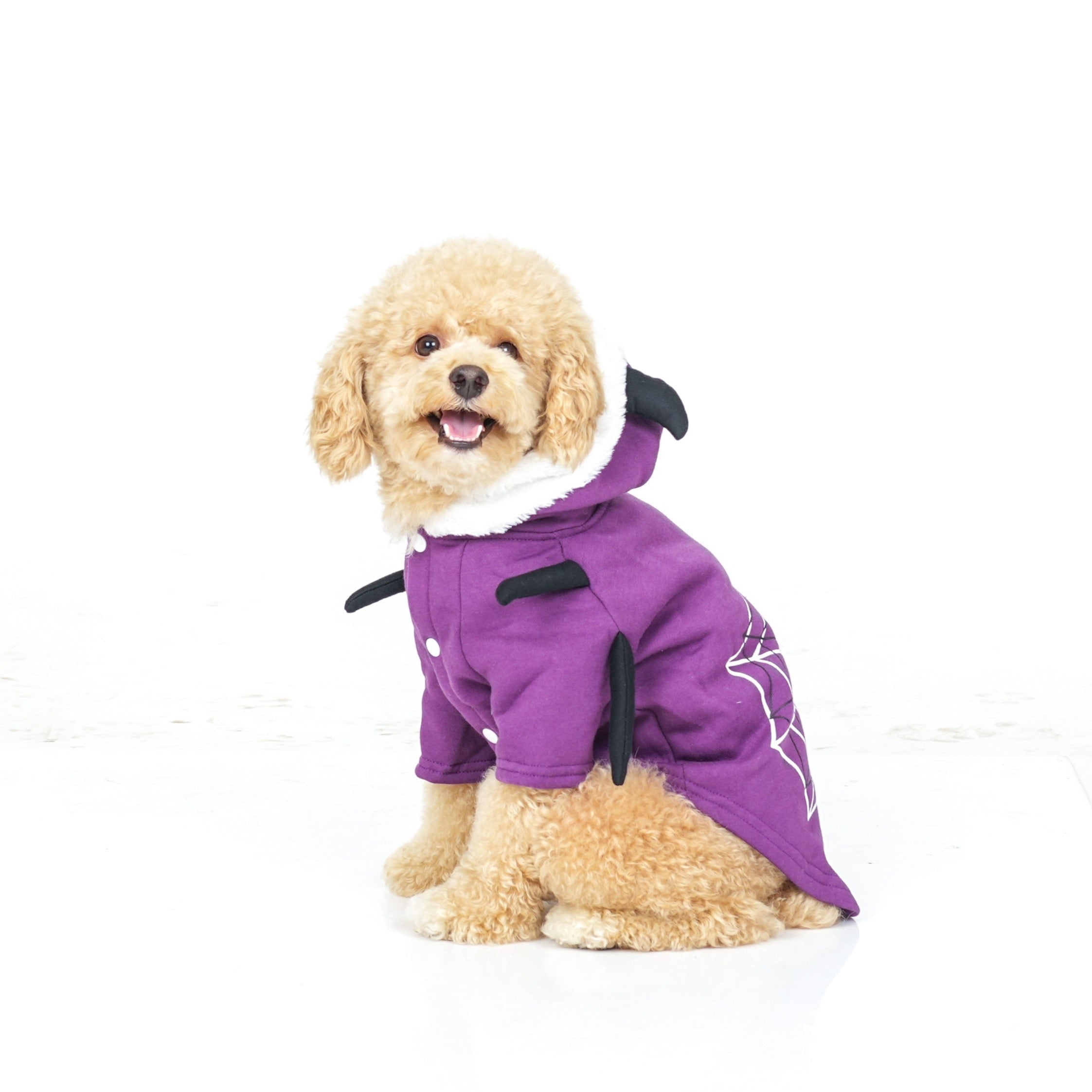 Dog Clothes| Spider Halloween Hoodie | Sizes and Colours Available| Claws N Paws