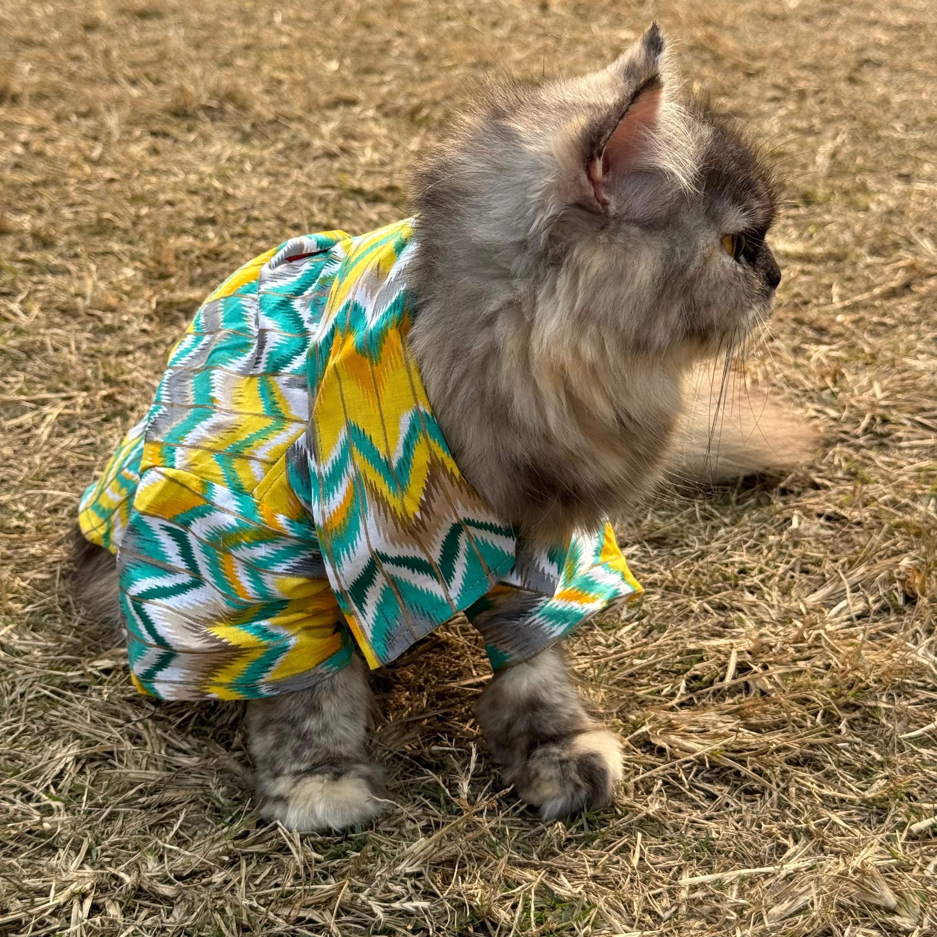 Cat Green zig zag kurta