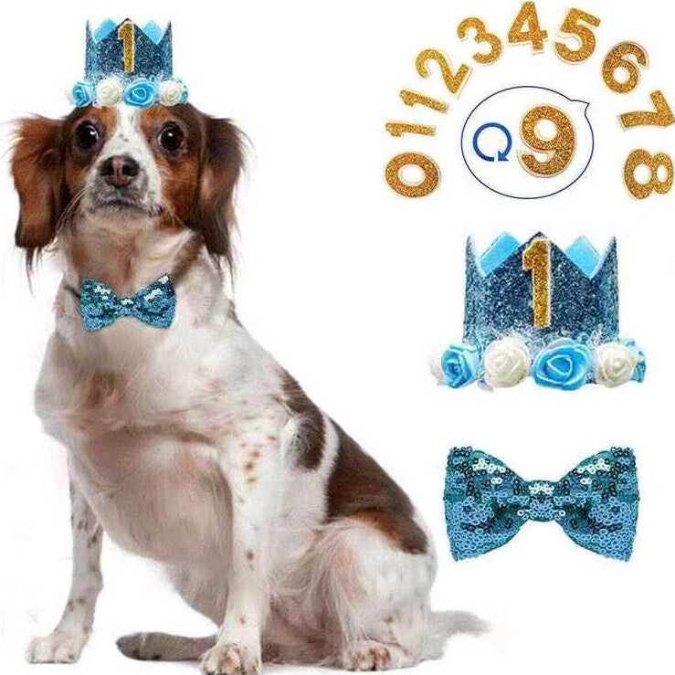 Birthday Crown & Bow Tie Set