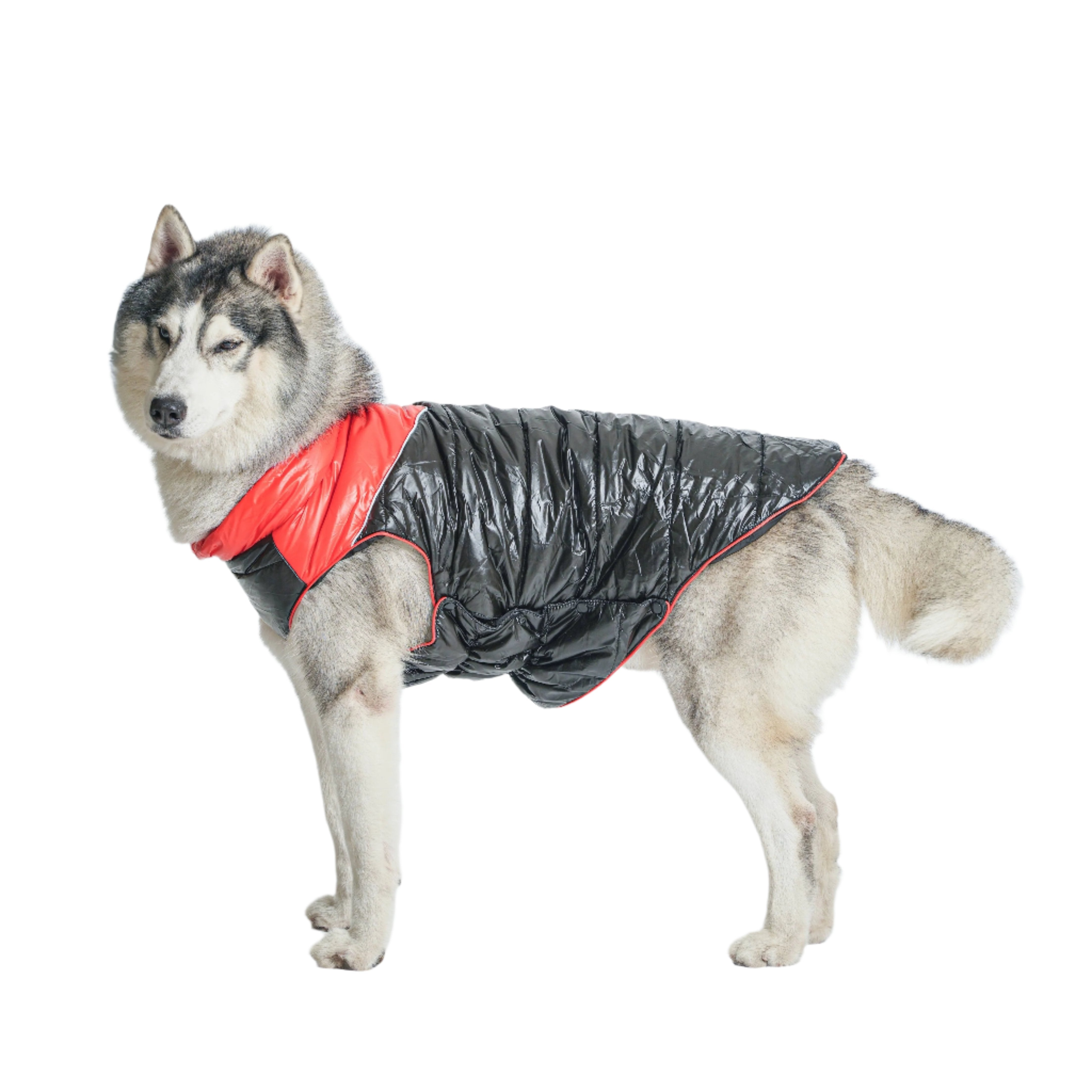 Deluxe Puffer Vest Jacket