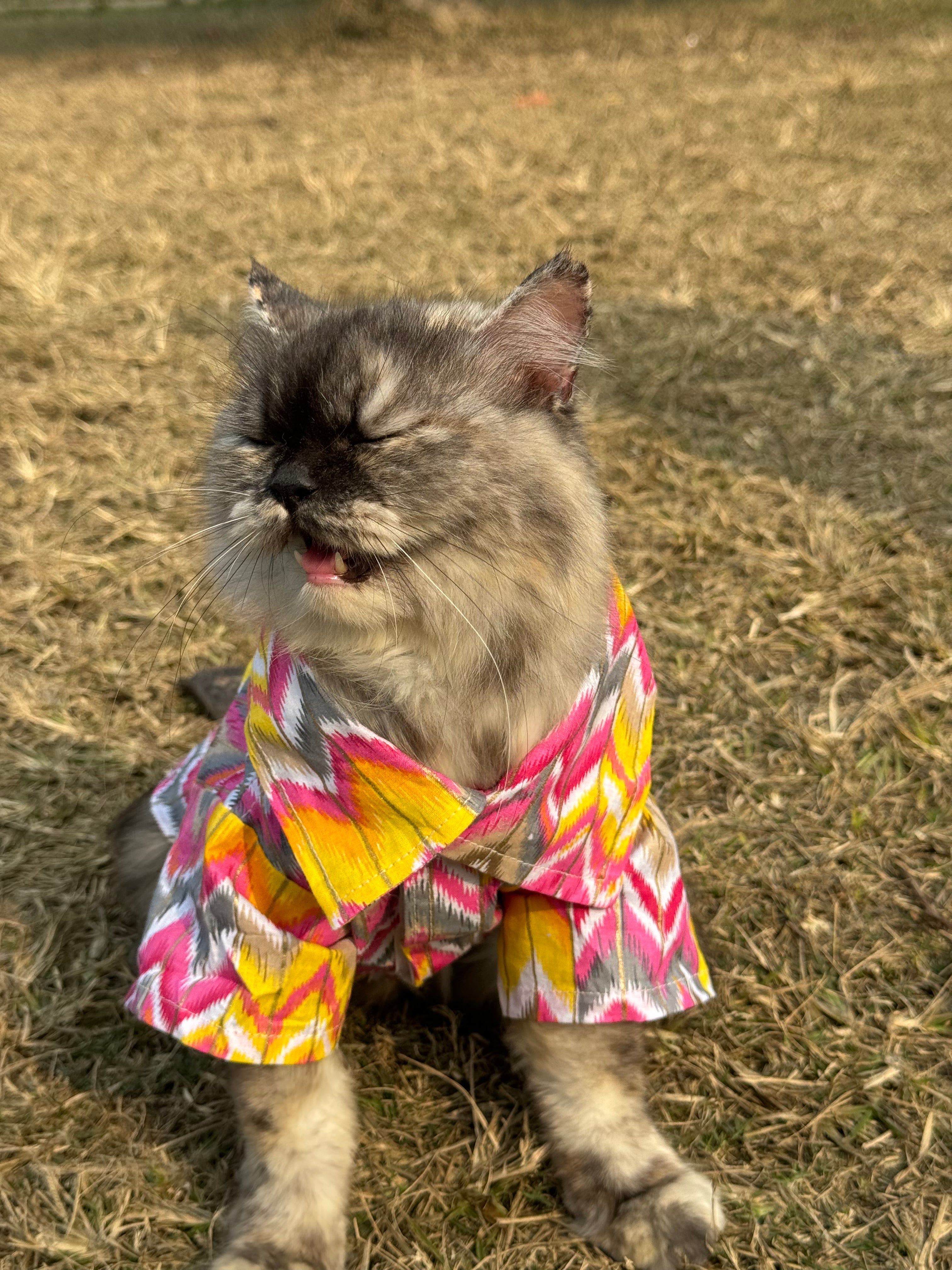 Cat pink zig zag kurta