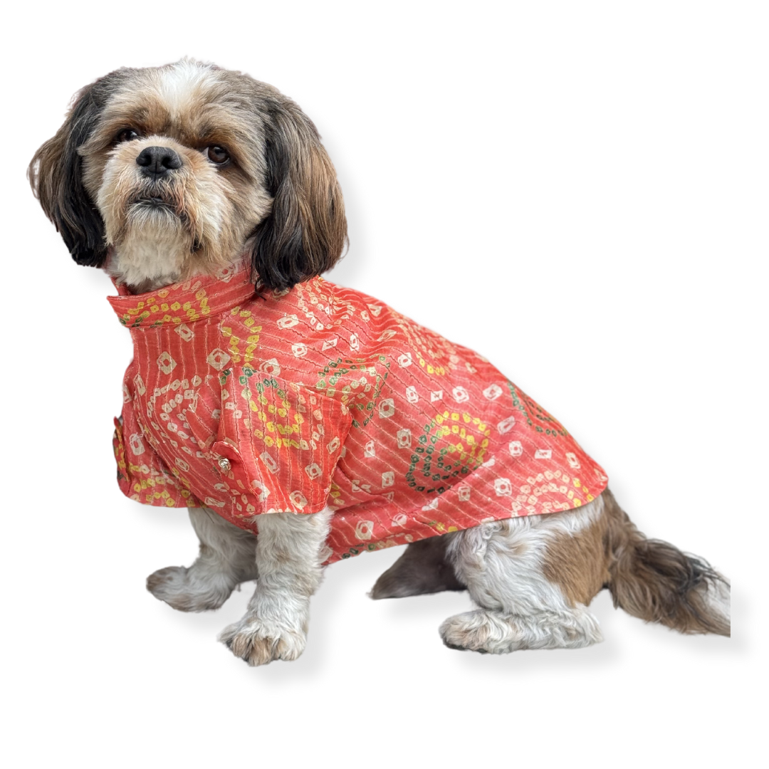 Dog Clothes| Silk Kurta: Peach | Sizes and Colours Available| Claws N Paws