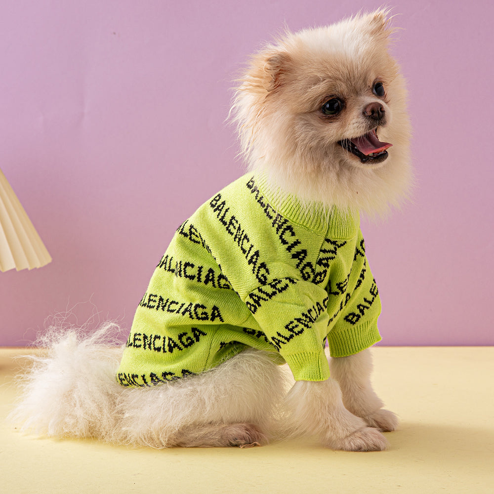 Premium Balenciaga Printed Sweater