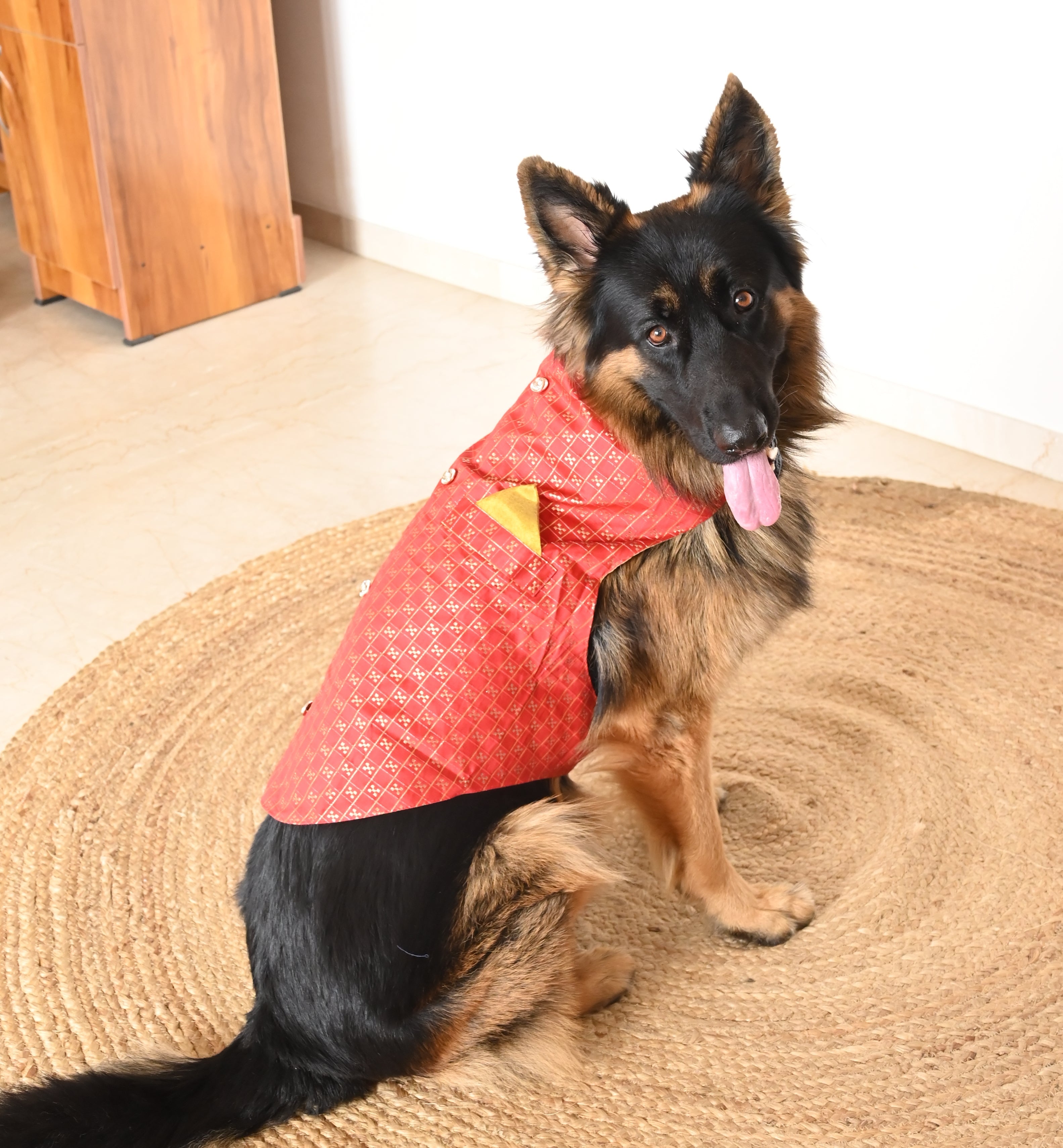 Dog Clothes| Strapy Sherwani Red | Sizes and Colours Available| Claws N Paws