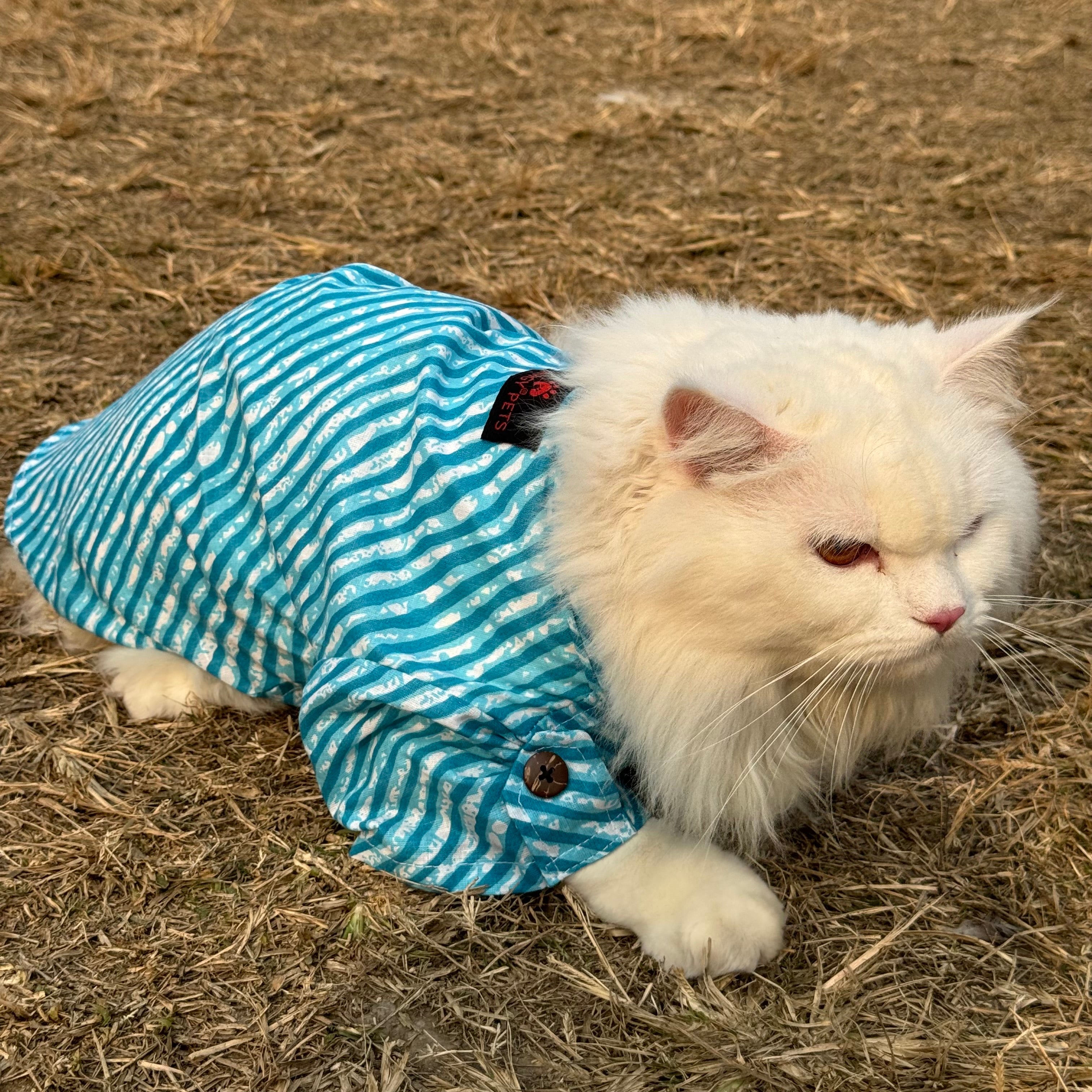 Cat lehriya kurta blue