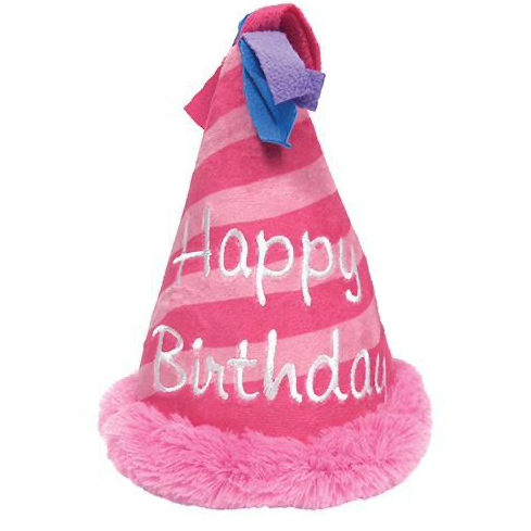 Birthday Hat Squeaky Plush Toy
