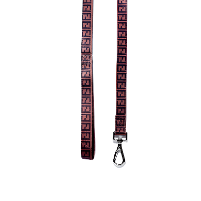 Brown FENDI Collar & Leash Set