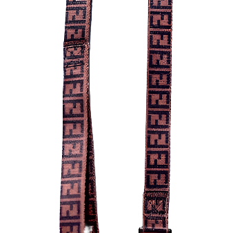 Brown FENDI Collar & Leash Set