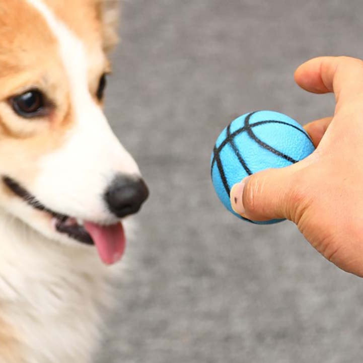Dog Rubber Ball