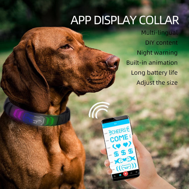 App controlled DIY Message Pet Light Collar