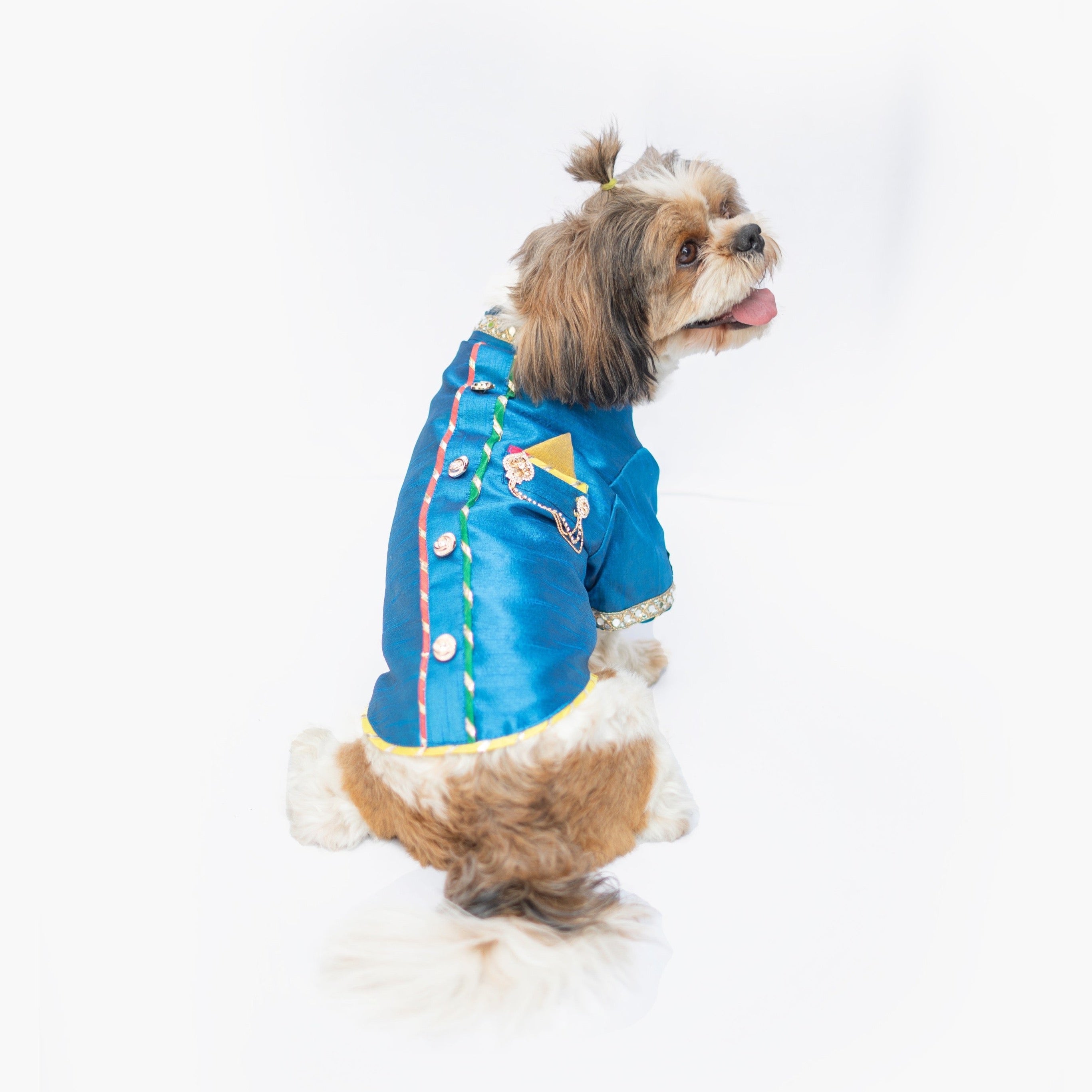 Dog Clothes| Raw Silk Sherwani: Blue | Sizes and Colours Available| Claws N Paws