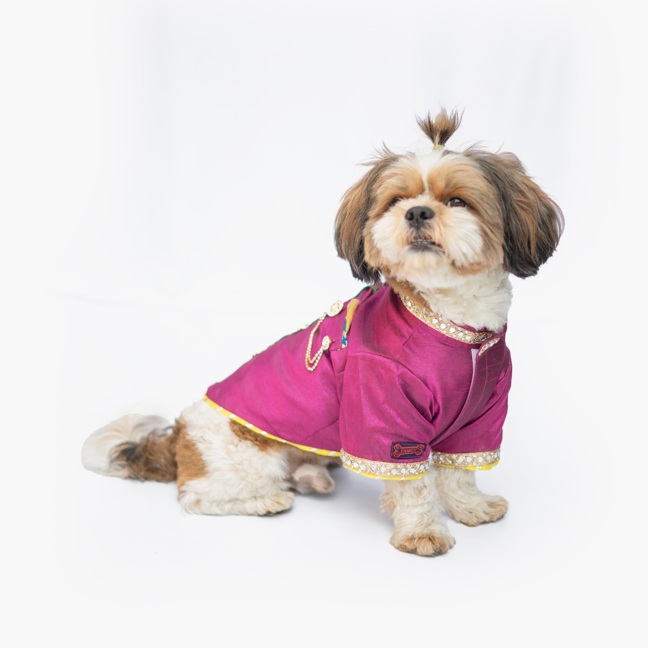 Dog Clothes| Raw Silk Sherwani: Rani | Sizes and Colours Available| Claws N Paws