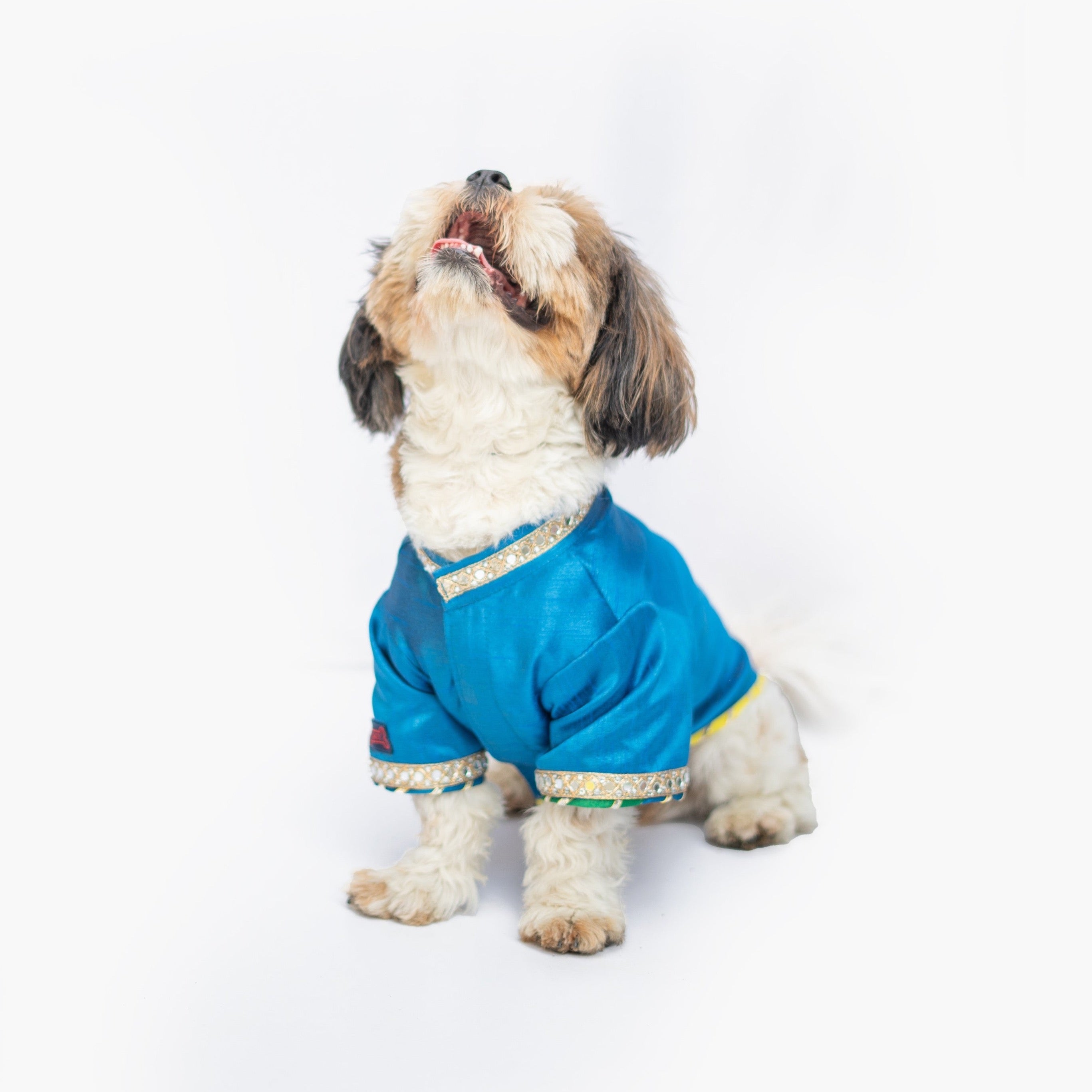 Dog Clothes| Raw Silk Sherwani: Blue | Sizes and Colours Available| Claws N Paws