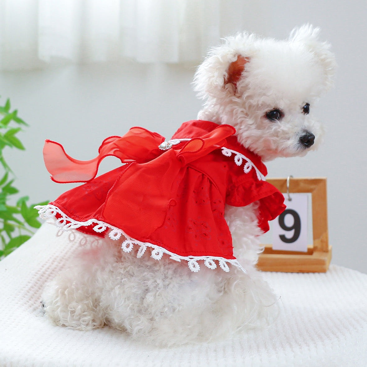 Red Cotton Lace Flower Cutout Dress
