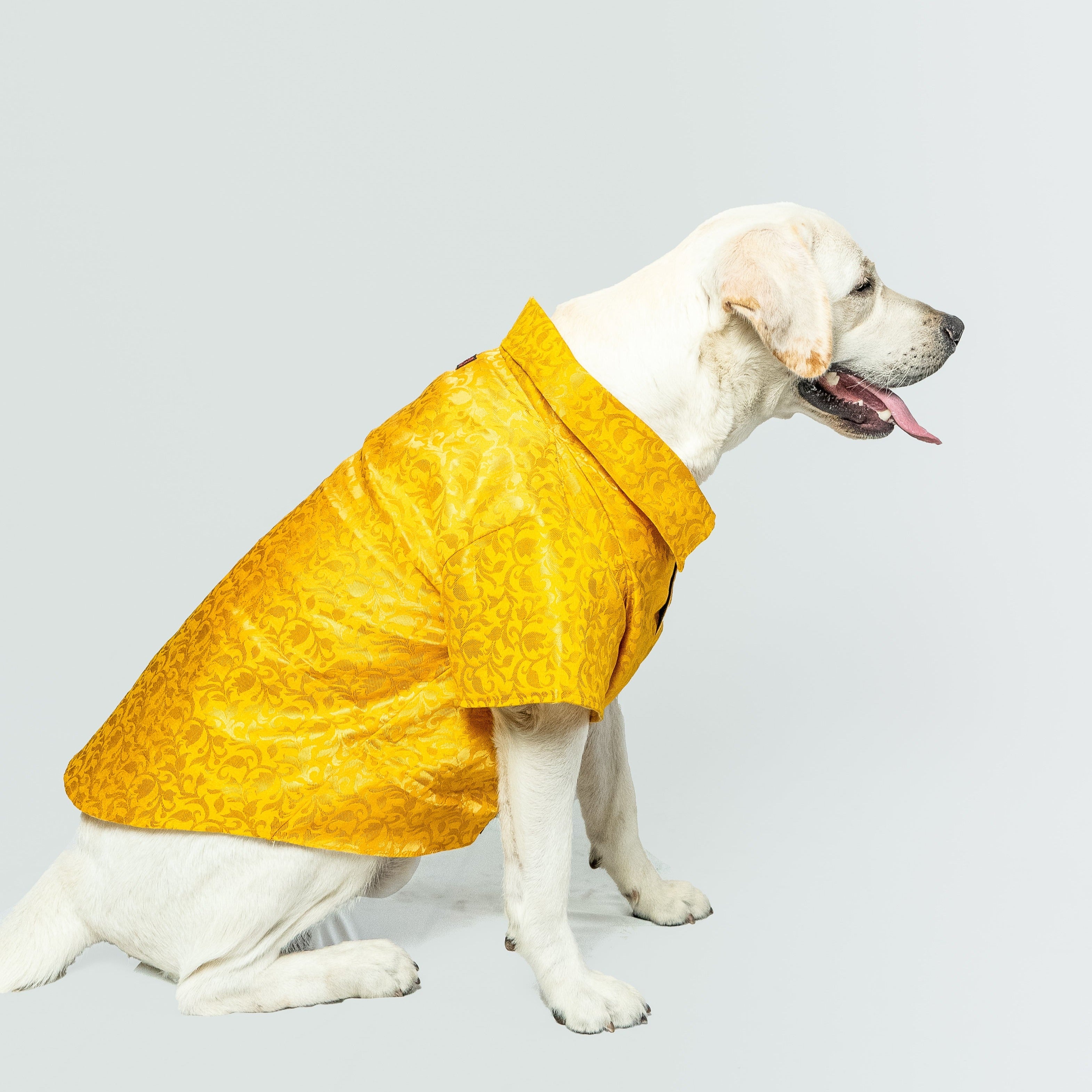 Dog Clothes| Occasion wear shirt Yellow | Sizes and Colours Available| Claws N Paws