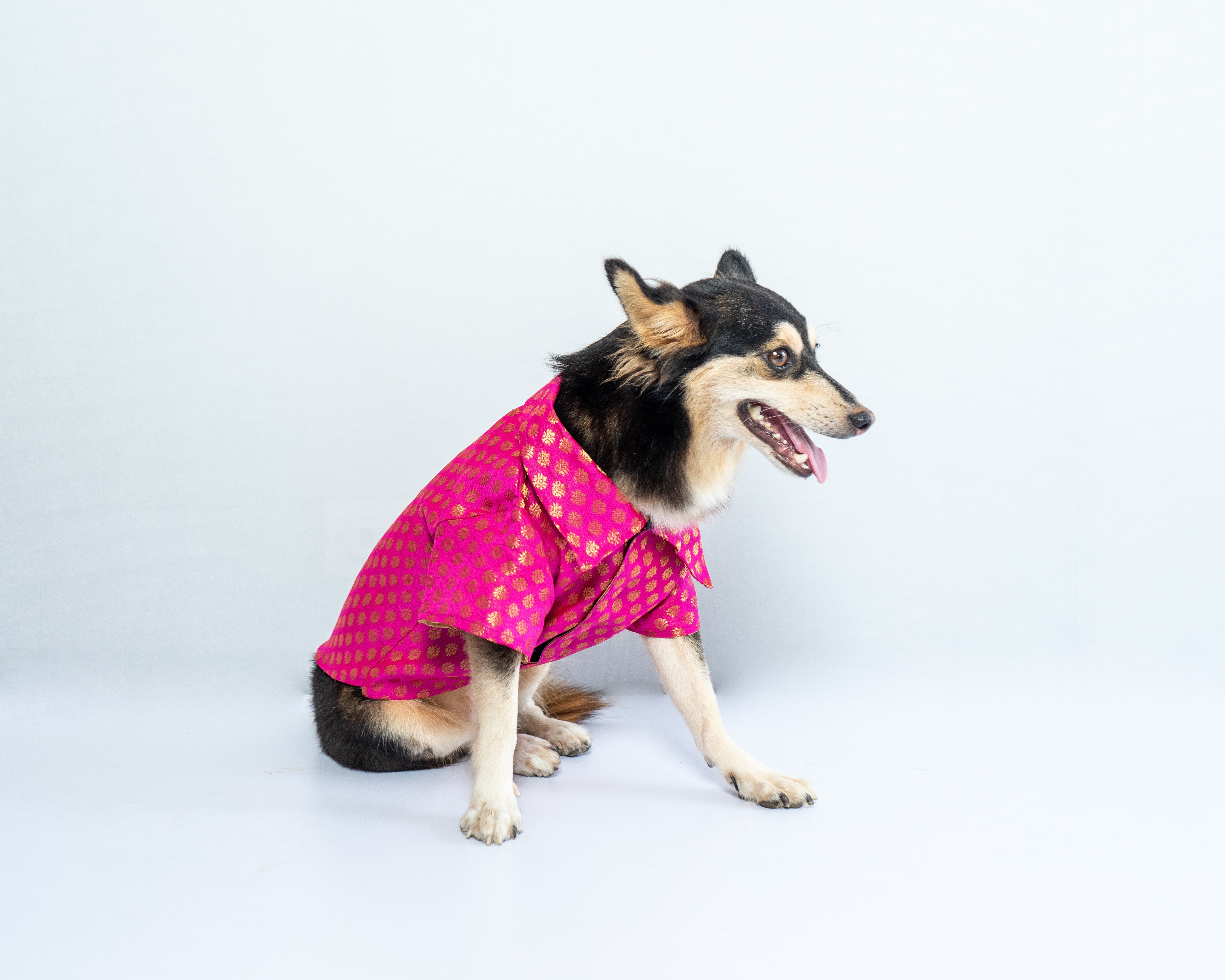 Dog Clothes| Occasion wear shirt Pink | Sizes and Colours Available| Claws N Paws