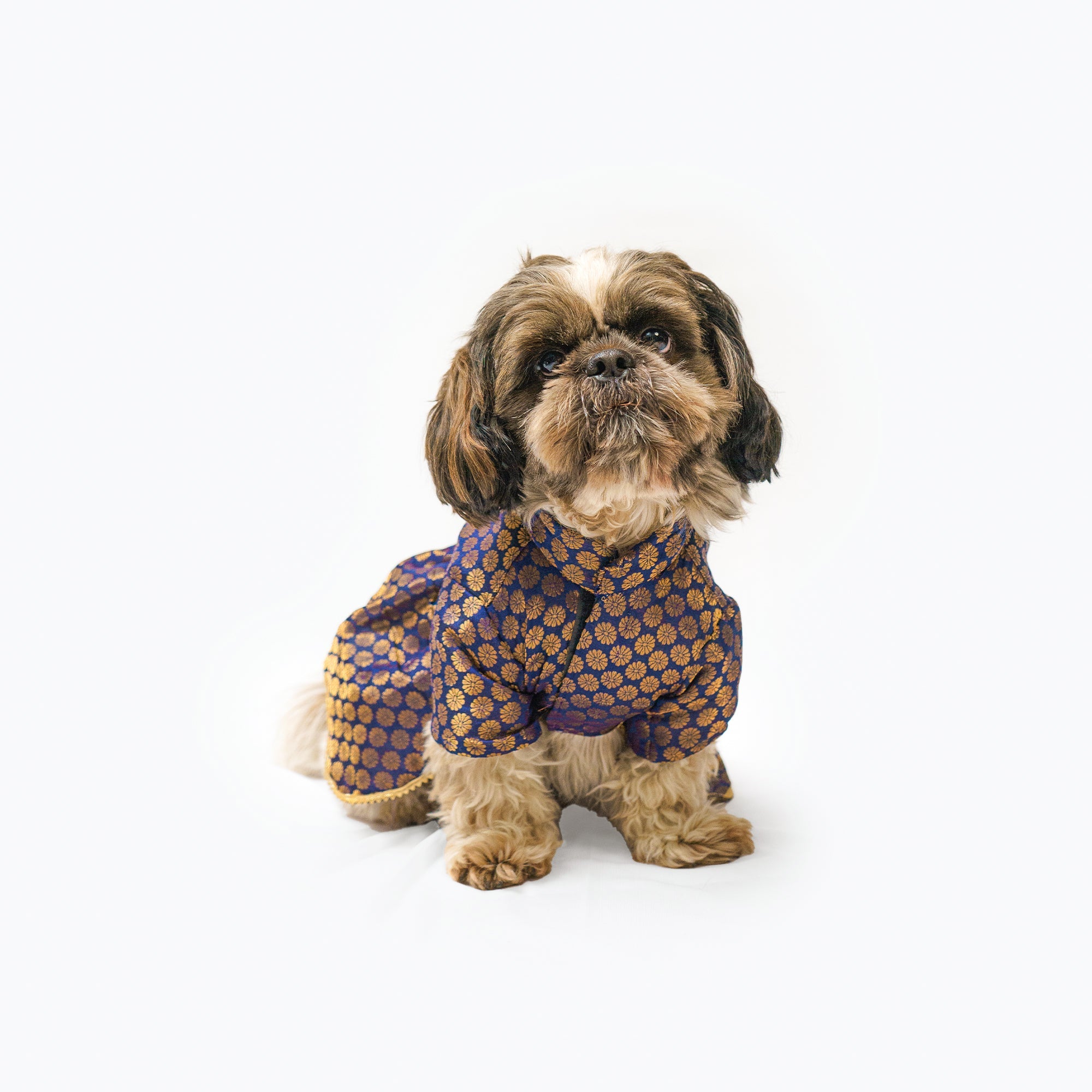 Dog Clothes| Occasion wear Dress Navy | Sizes and Colours Available| Claws N Paws