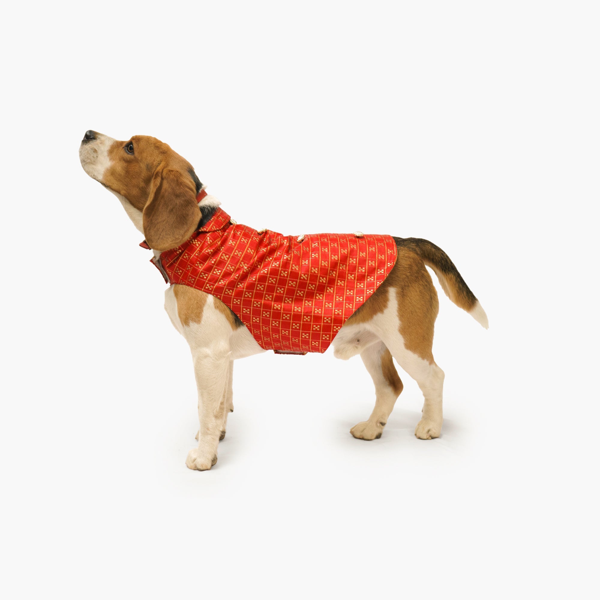 Dog Clothes| Strapy Sherwani Red | Sizes and Colours Available| Claws N Paws