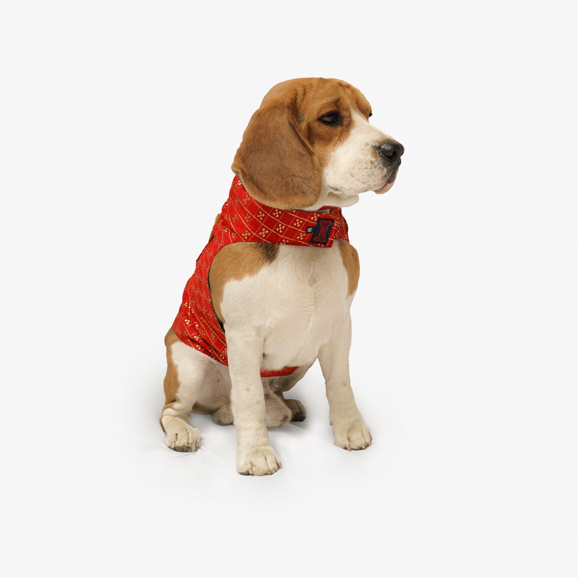 Dog Clothes| Strapy Sherwani Red | Sizes and Colours Available| Claws N Paws