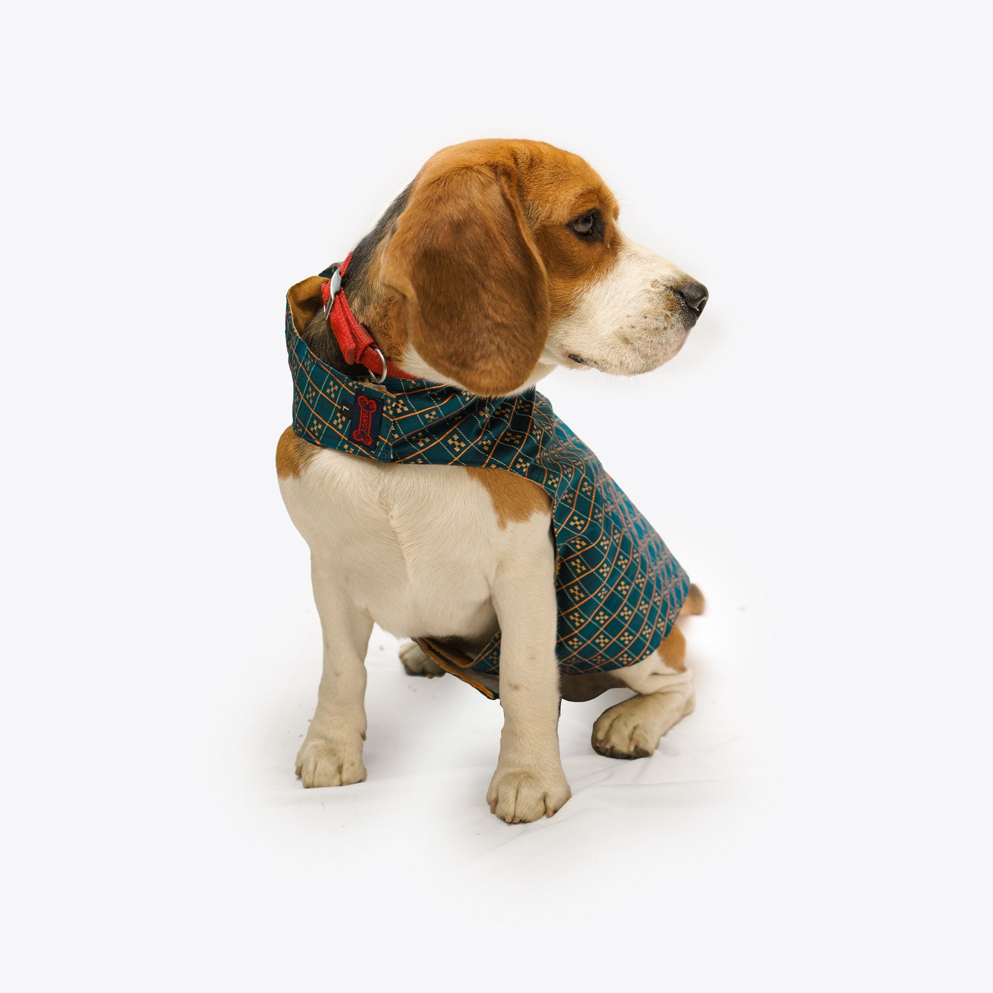 Dog Clothes| Strapy Sherwani Peacock Blue | Sizes and Colours Available| Claws N Paws