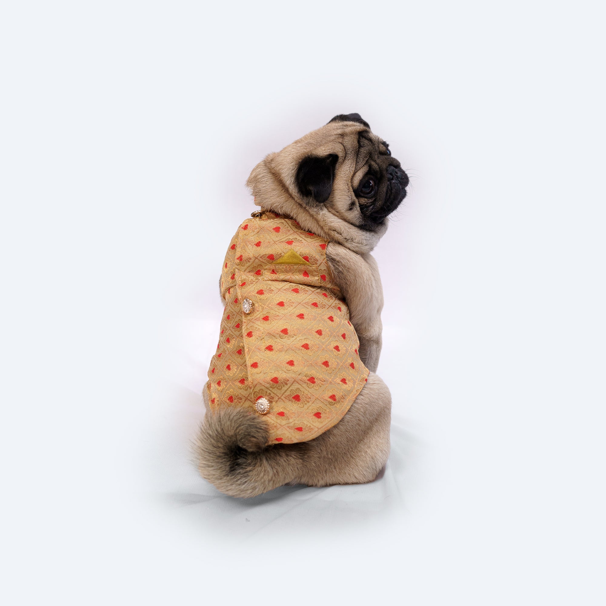 Dog Clothes| Sherwani Golden | Sizes and Colours Available| Claws N Paws