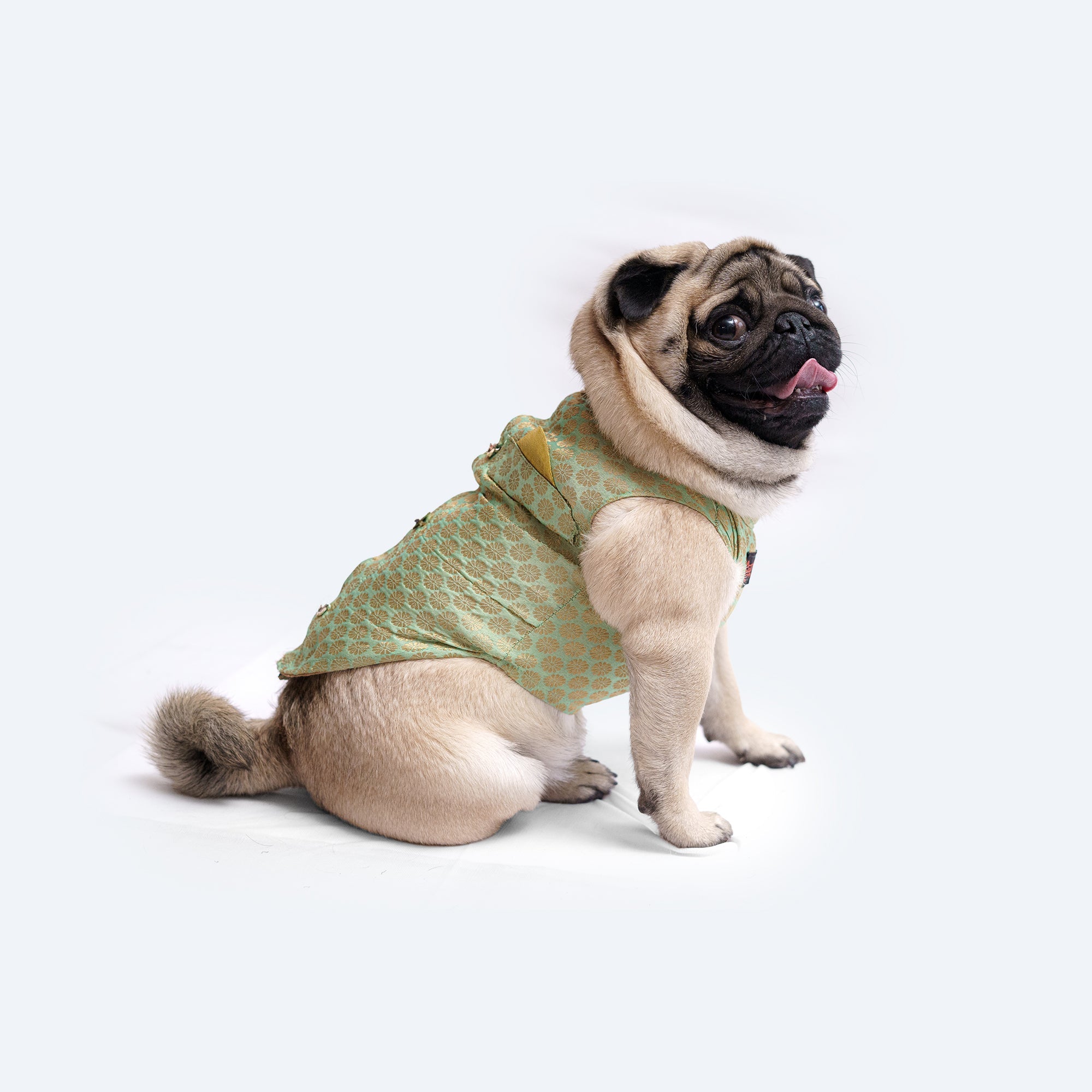 Dog Clothes| Sherwani Pista Green | Sizes and Colours Available| Claws N Paws