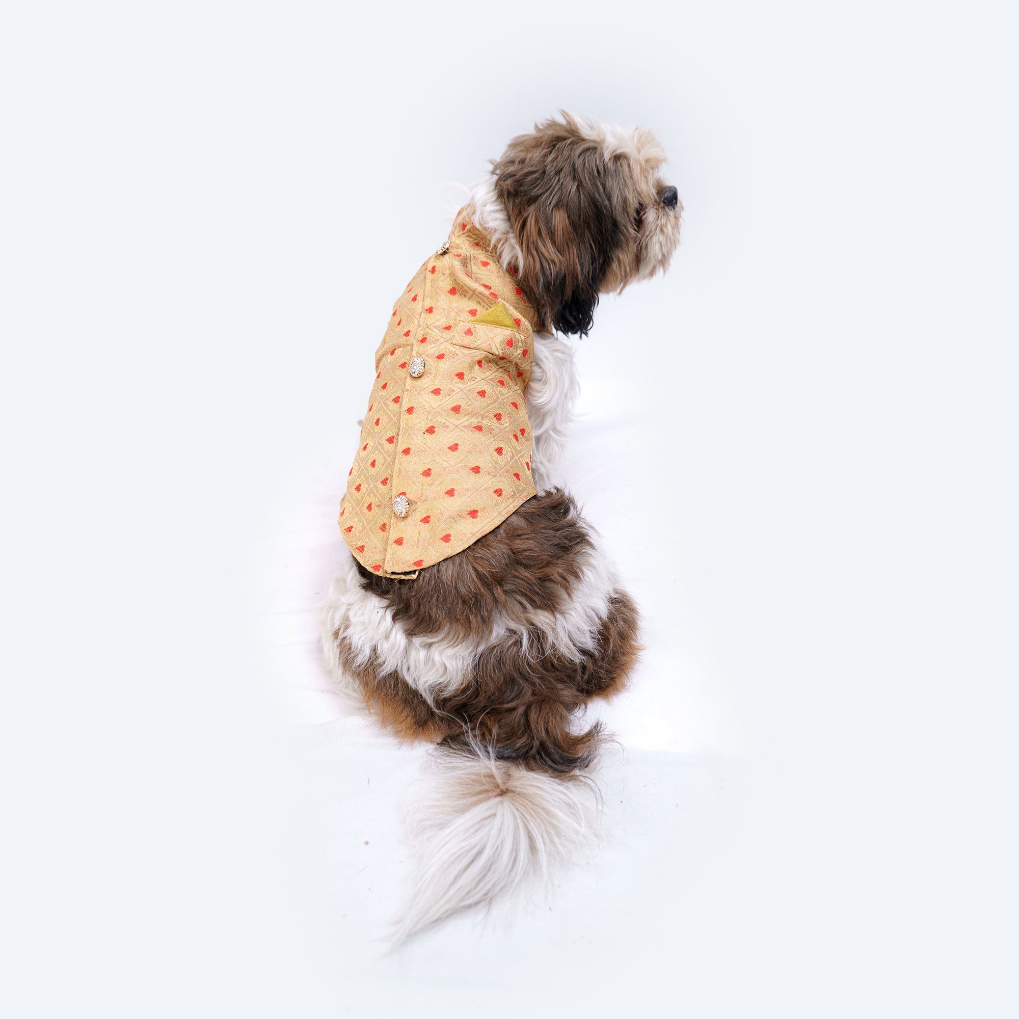 Dog Clothes| Sherwani Golden | Sizes and Colours Available| Claws N Paws